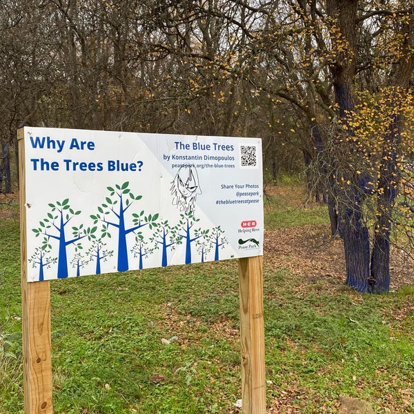 Photos at Pease District Park 21 tips