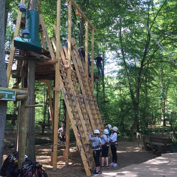 Fun forest. Fun forest