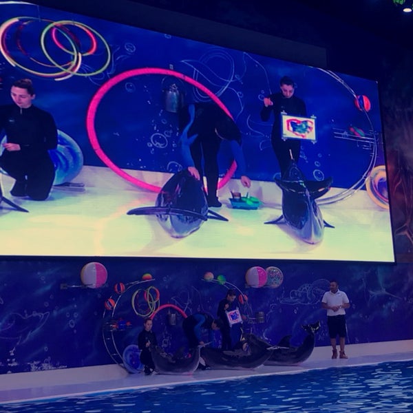 8/29/2018 tarihinde aysha.ziyaretçi tarafından Dubai Dolphinarium'de çekilen fotoğraf