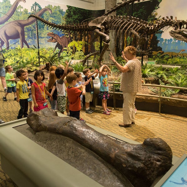 Photo taken at Carnegie Museum of Natural History by Carnegie Museum of Natural History on 5/6/2014