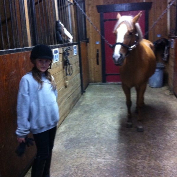 Centre Equestre Des Mille Iles Cemi Auteuil 1 Tip Centre Equestre Des Mille Iles Cemi Auteuil 1 Tip