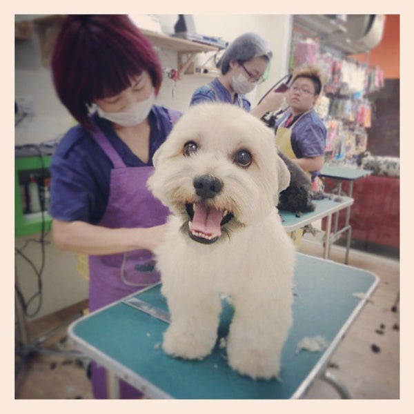 Doggie Doggie Pet Store In Kuala Lumpur