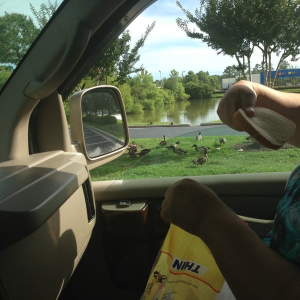 Dollar Tree Discount Store