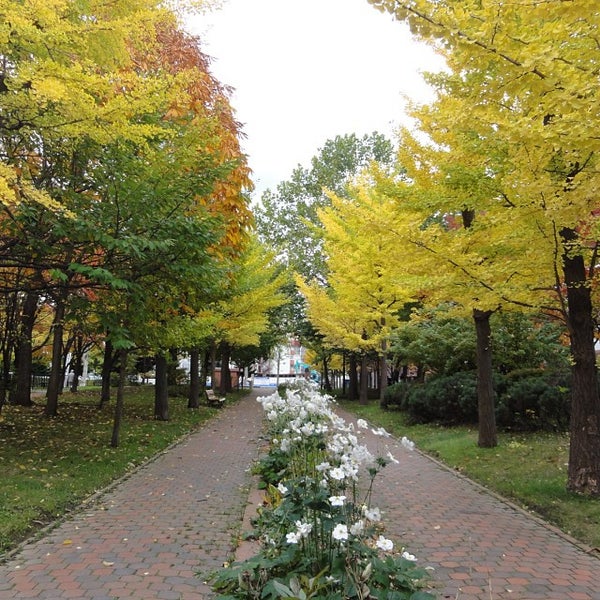 永山記念公園 中央区 中央区北2条東5 永山記念公園 中央区 中央区北2条東5