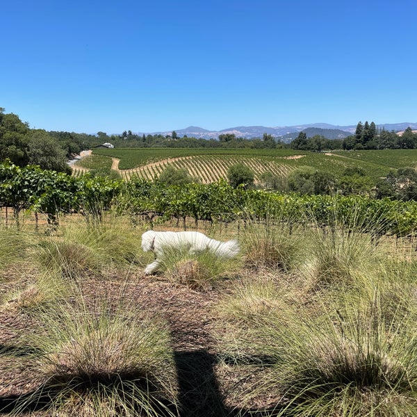 Foto tirada no(a) MacRostie Winery &amp; Vineyards por Genaro L. em 7/5/2021