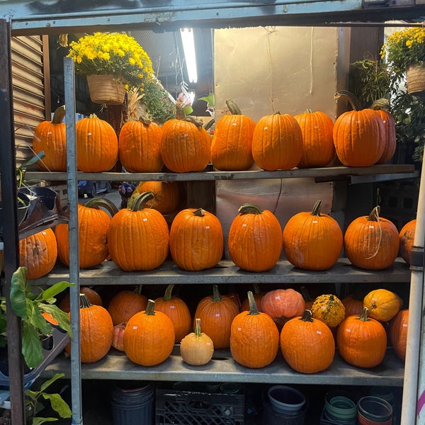 Photo taken at Nelly&#39;s Flower Shop by Scott S. on 10/4/2022
