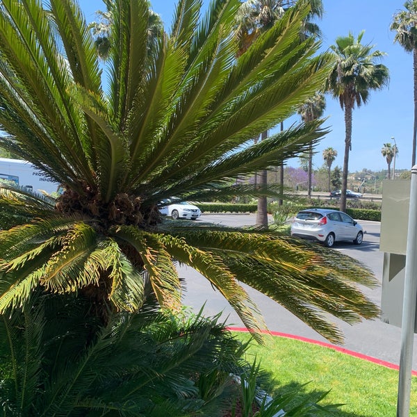 Photo taken at Courtyard by Marriott San Diego Mission Valley/Hotel Circle by Lynn G. on 5/14/2019