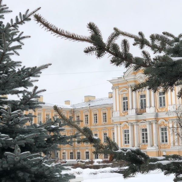Воронцовский дворец в снегу