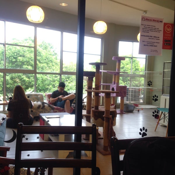 alley cat cafe kuching