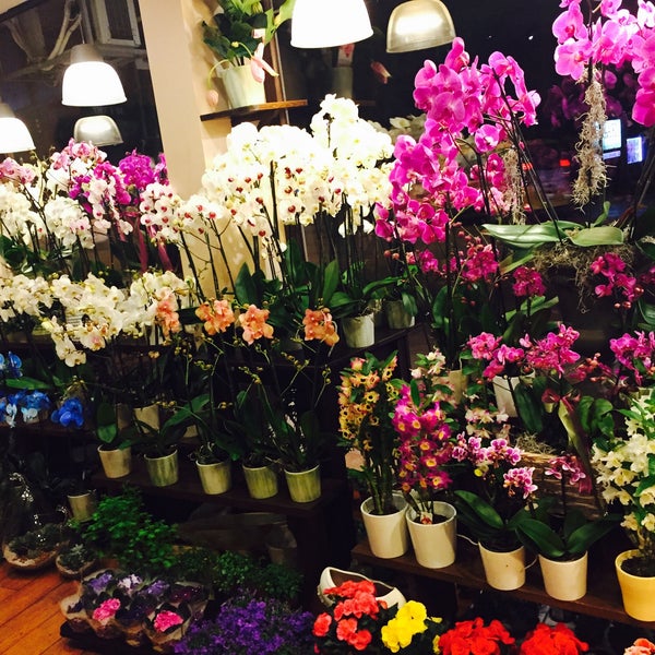 Foto scattata a Violet Garden Çiçekliği da Veysel A. il 5/1/2015