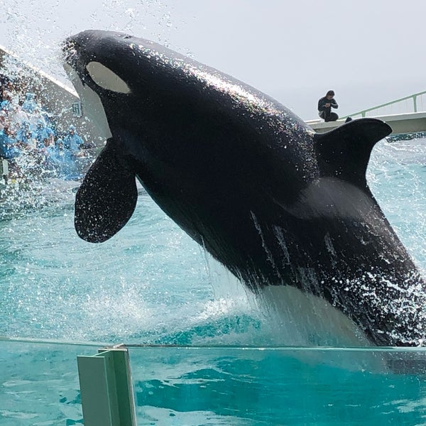 鴨川シーワールドホテル お得な宿泊予約 こころから