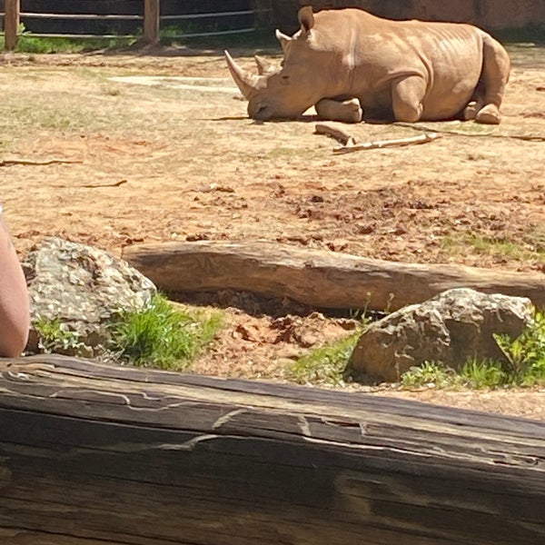 Das Foto wurde bei Zoo Atlanta von Dee E. am 3/27/2022 aufgenommen