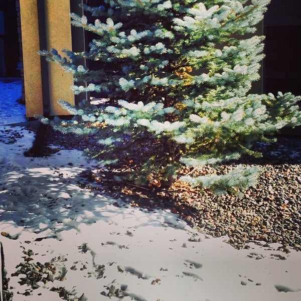 The Kitchen, Boulder,CO New American Restaurant