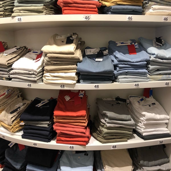 Jack Russel Knokke Heist Flandre Occidentale