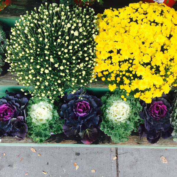 World of Flowers Greenpoint Brooklyn, NY