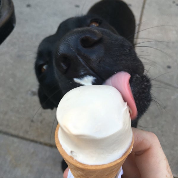 Scoops Ice Cream Bridgeport 12 tips