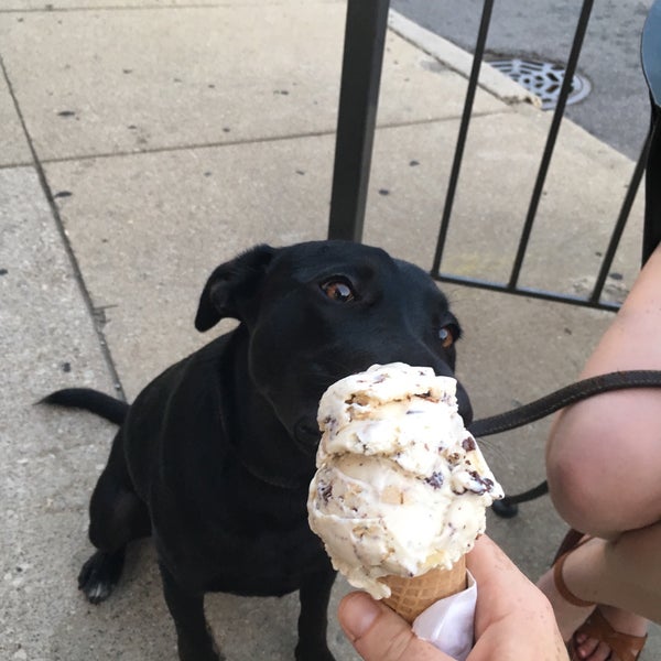 Scoops Ice Cream Bridgeport 12 tips