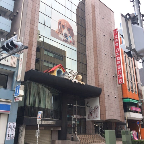日本動物専門学校 杉並区 6 Visitors
