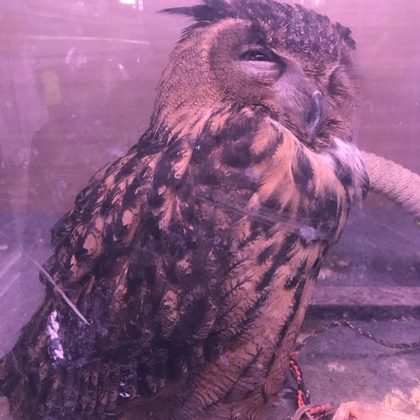 ペットショップ 若林トロピカルパーク Pet Shop Em 豊橋市
