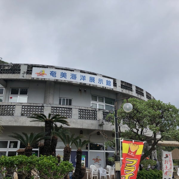 Photos At 奄美海洋展示館 Aquarium In 奄美市