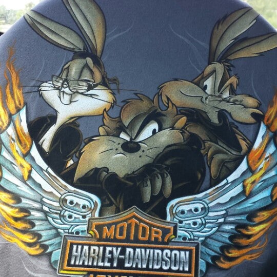 Harley Thunder Mountain