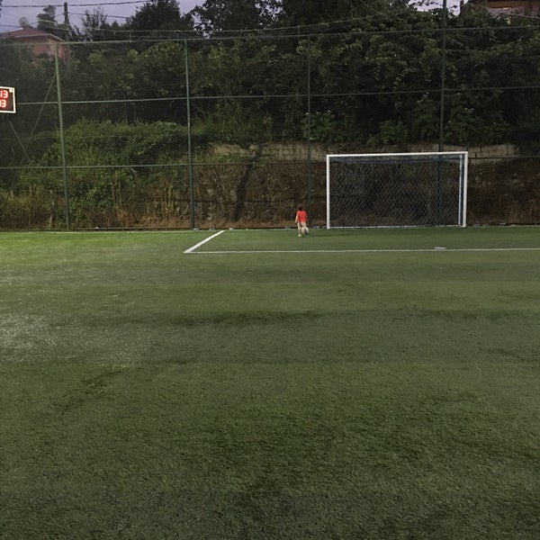 toplum kitlik corap gim hali saha darica telefon bilsanatolye com