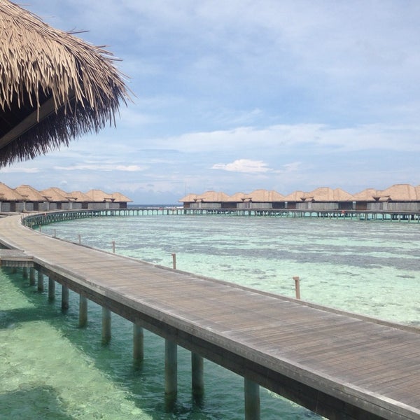 Maalifushi