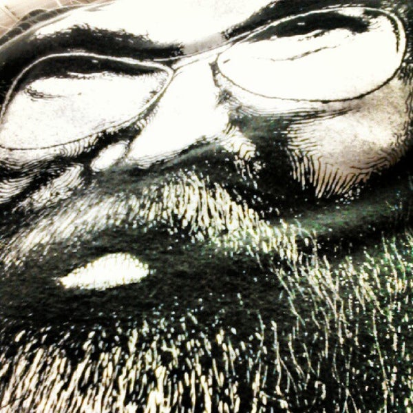 Riverside center Danville, VA