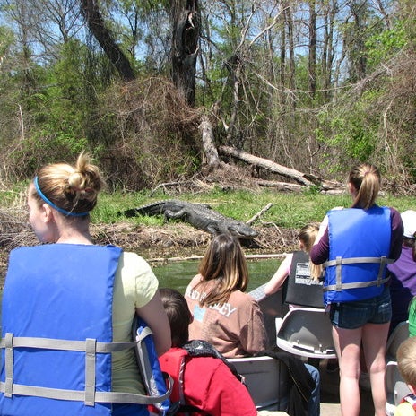 Das Foto wurde bei Cajun Country Swamp Tours von walter g. am 9/2/2014 aufgenommen