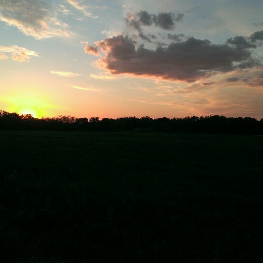 Broad field. Broad field