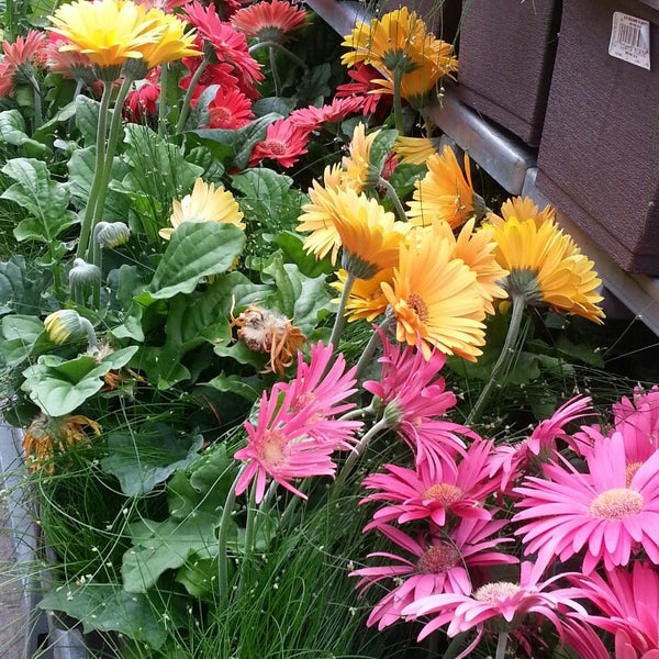 Photos at The Home Depot Hardware Store in Deerfield