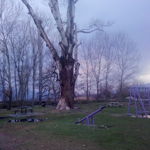 Photos At Kargi Cayiri