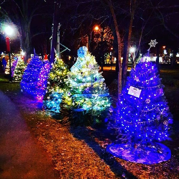 Palmerton Park Christmas Lights 2022 Photos At Palmerton Park - 703 3Rd St