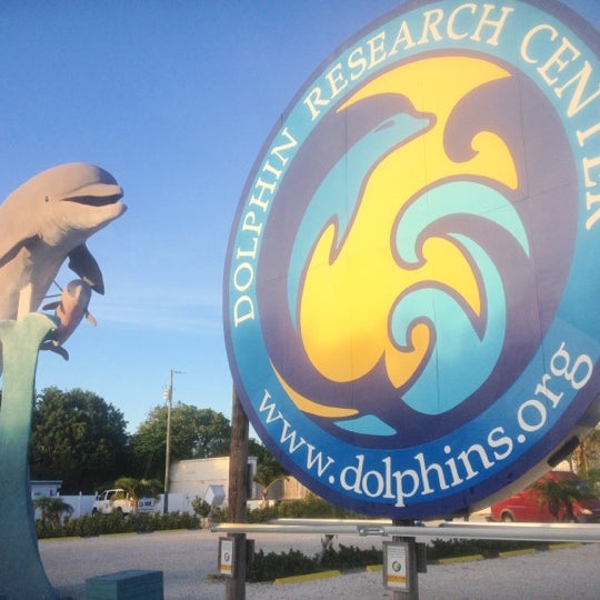 Photo prise au Dolphin Research Center par JD le12/10/2012