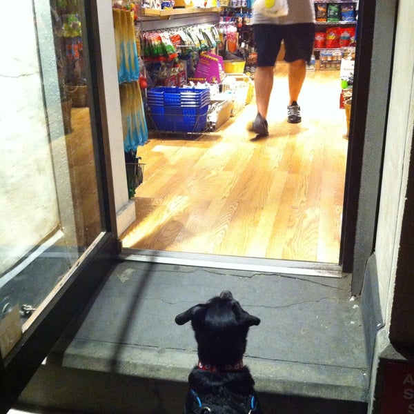 pet shop the creatures