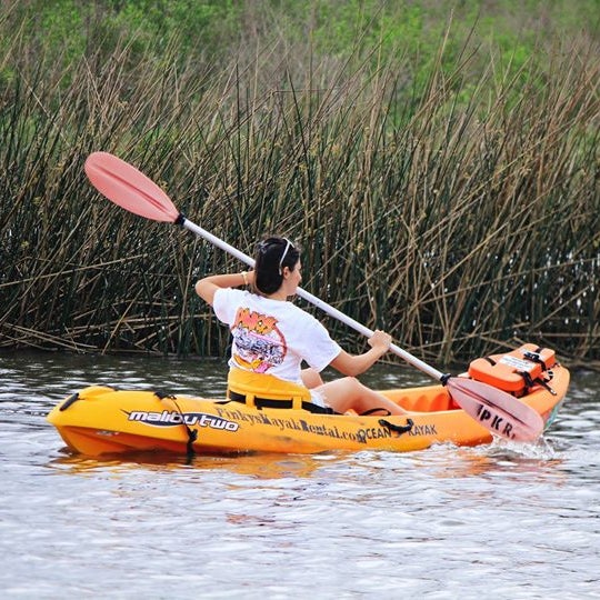 Pinky's Kayak Rentals Harbor or Marina in El Lago