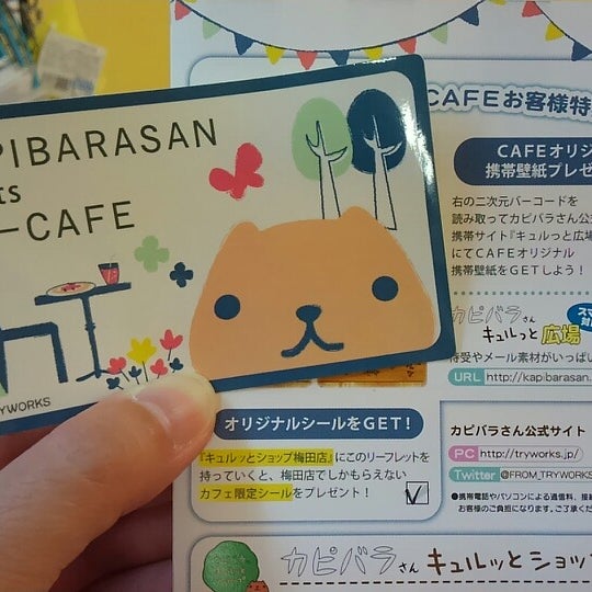 すべての美しい花の画像 ぜいたく待ち受け 壁紙 カピバラ さん