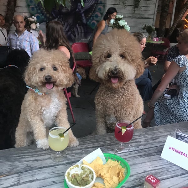 Delicious food, great outdoor space, dog friendly. What more could you want? Try the hibiscus margarita!