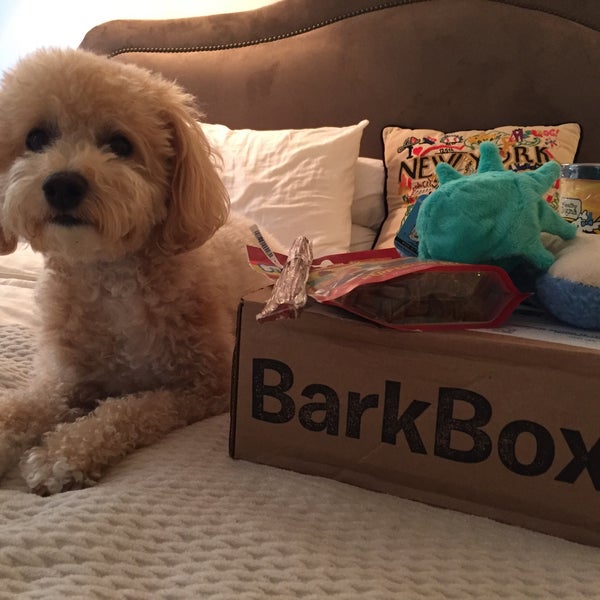รูปภาพถ่ายที่ BarkBox โดย Paige C. เมื่อ 9/25/2015