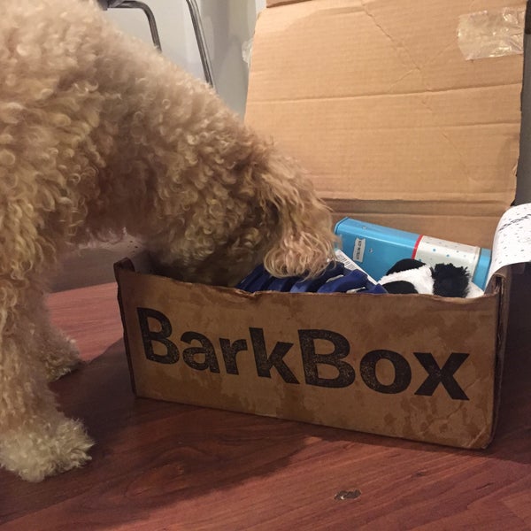 รูปภาพถ่ายที่ BarkBox โดย Paige C. เมื่อ 12/18/2015