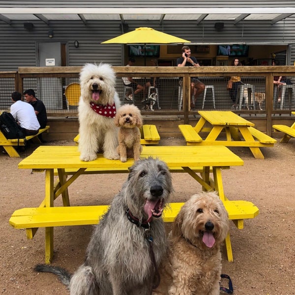 I really wish New York had a place like this! I was visiting Dallas with my dog and everyone told me to come to this place. Fantastic happy hour margaritas and a great crowd of people during the week.