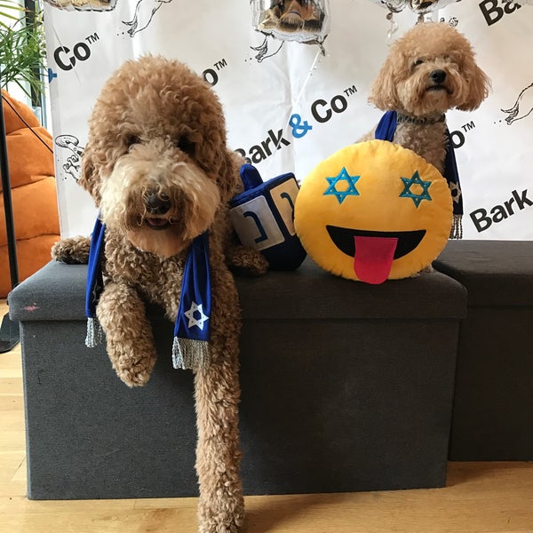 Photo taken at BarkBox by Paige C. on 11/22/2016