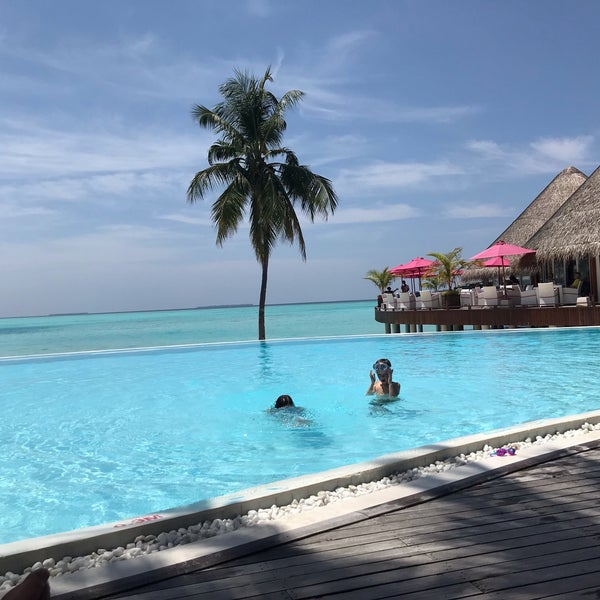 Vilu Reef Beach and Spa Resort