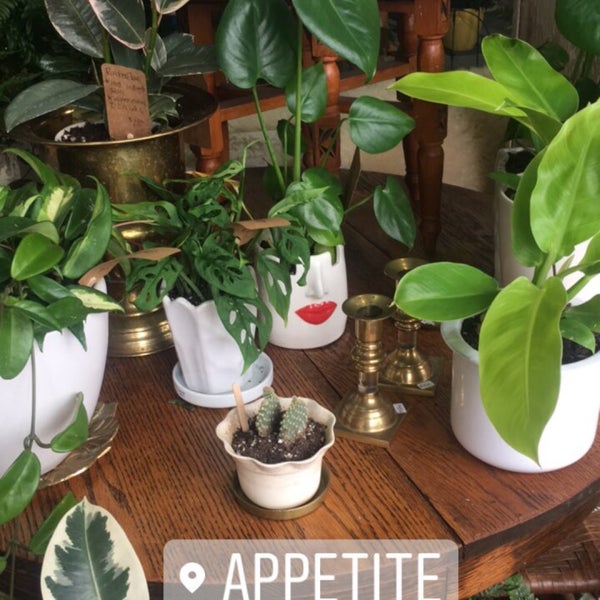 unique plants in gorgeous planters, along with other beautiful handmade goods. into it. had to show a lot of restraint to keep from spending all the 💰💰