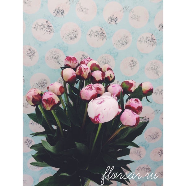 Foto tirada no(a) Цветы ️florsar.ru por Виктория em 4/3/2015