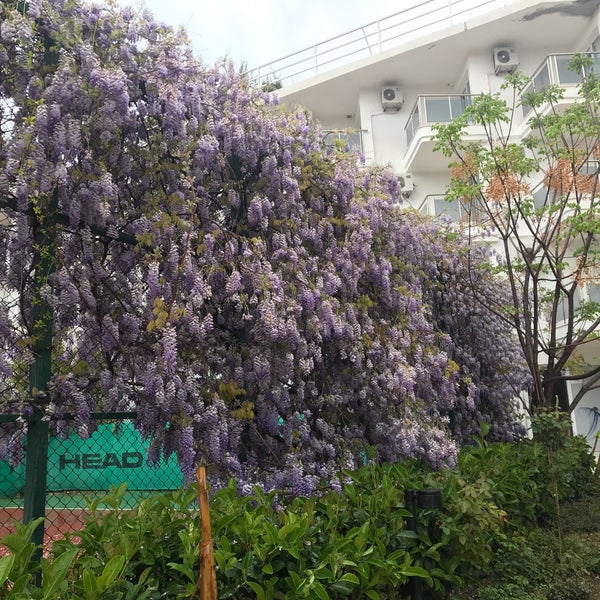 Foto tomada en Atlantique Holiday Club  por TC  Gülnur Ç. el 4/7/2019