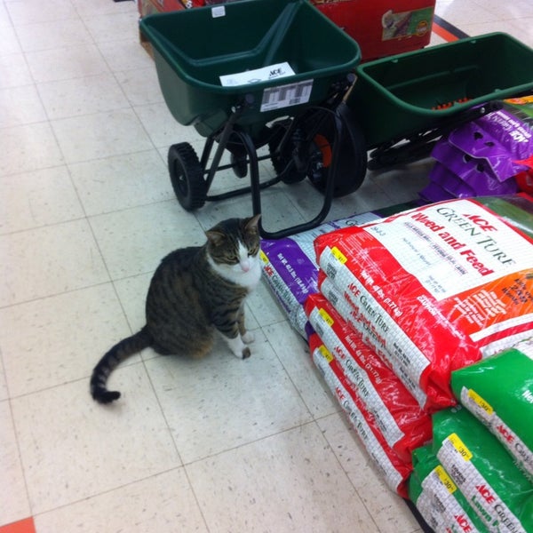 Ace Hardware Yorkville, IL