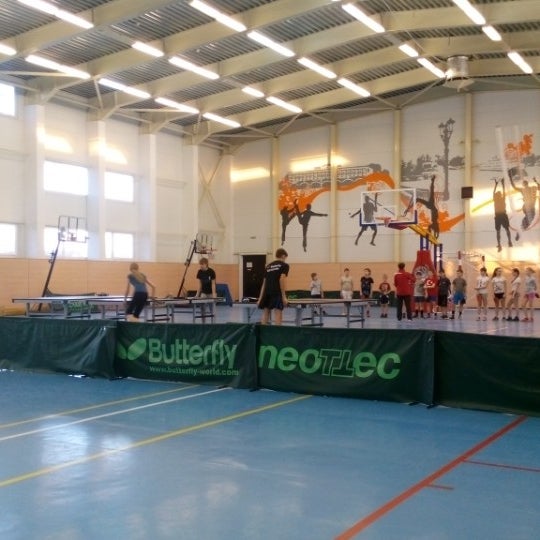 Академия настольного тенниса олимп. Фок теннис. Фок теннис. Фок мещерский настольный теннис. Фок теннис.