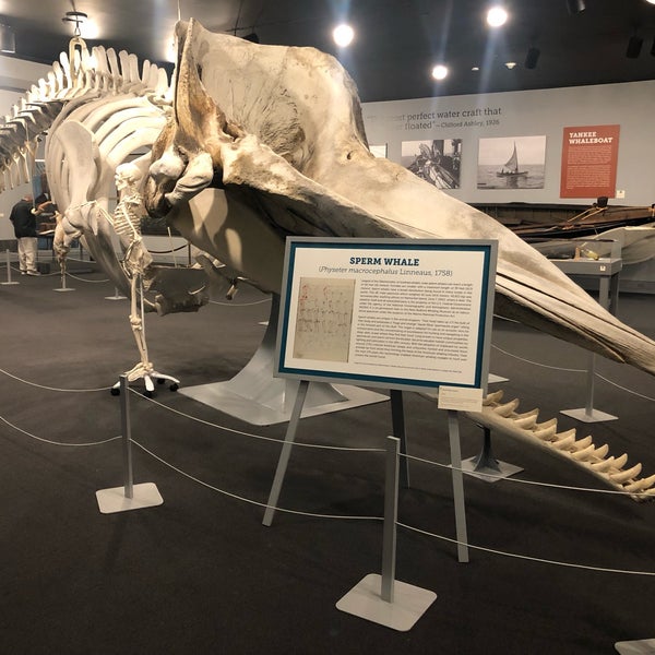 Foto tomada en New Bedford Whaling Museum  por Daddy F. el 9/22/2019