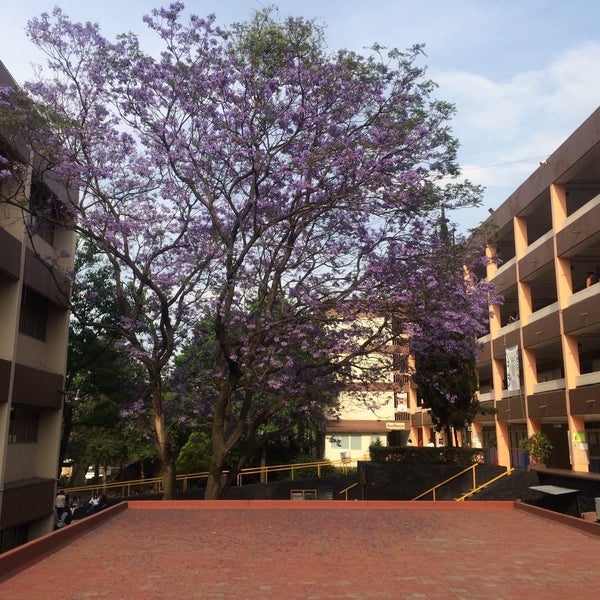 Photo taken at Facultad de Psicología, UNAM by Giovo D. on 4/9/2015